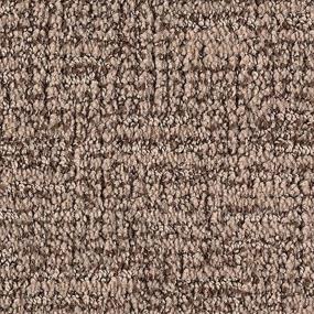 Pattern Dark Taupe Beige/Tan Carpet