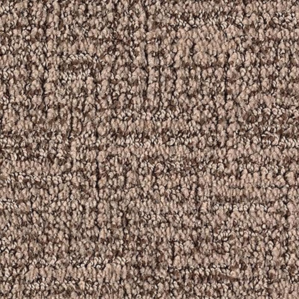 Pattern Dark Taupe Beige/Tan Carpet