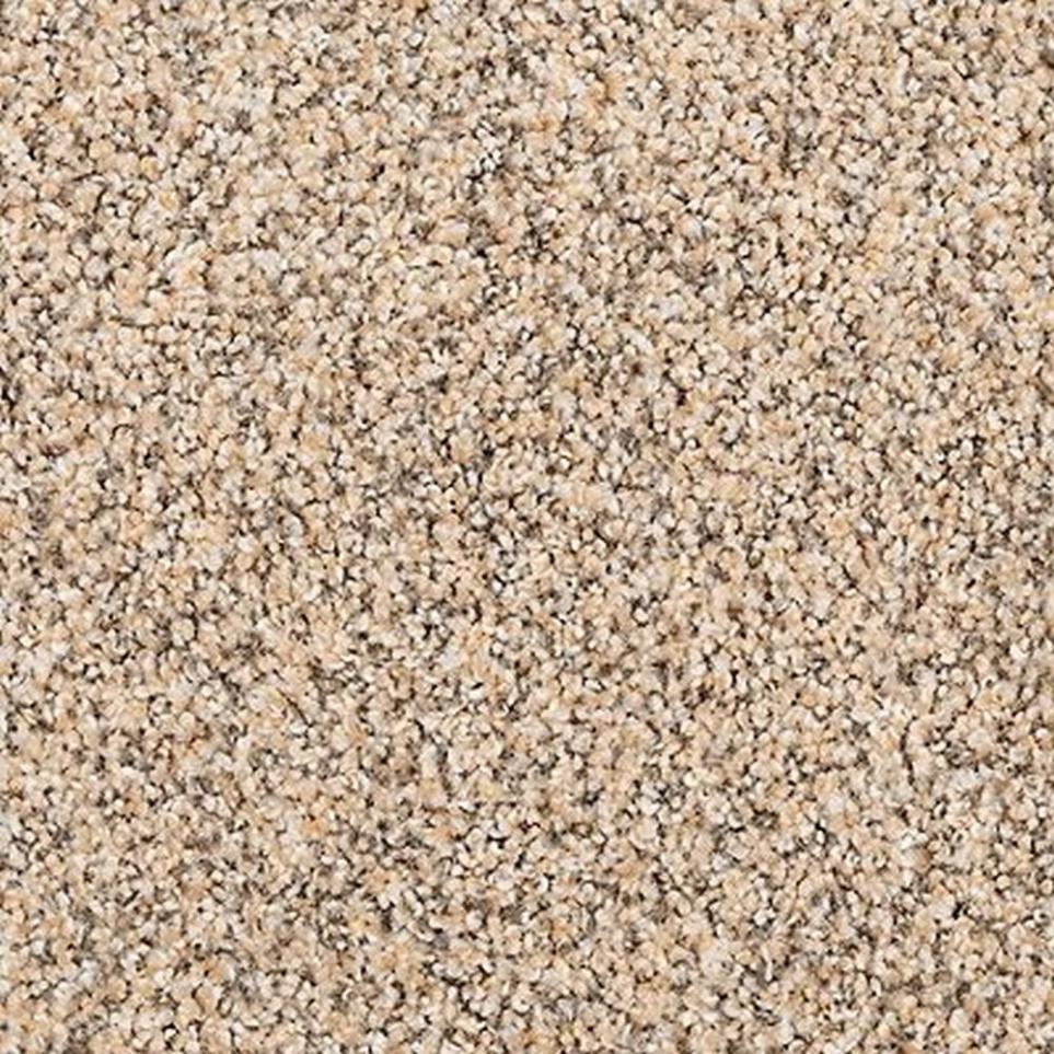 Textured Saxony Pebble Grey Gray Carpet