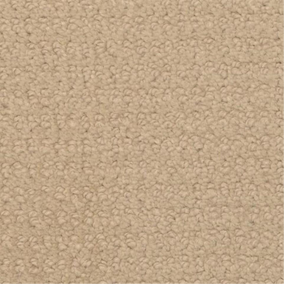 Pattern Gallery Taupe Beige/Tan Carpet