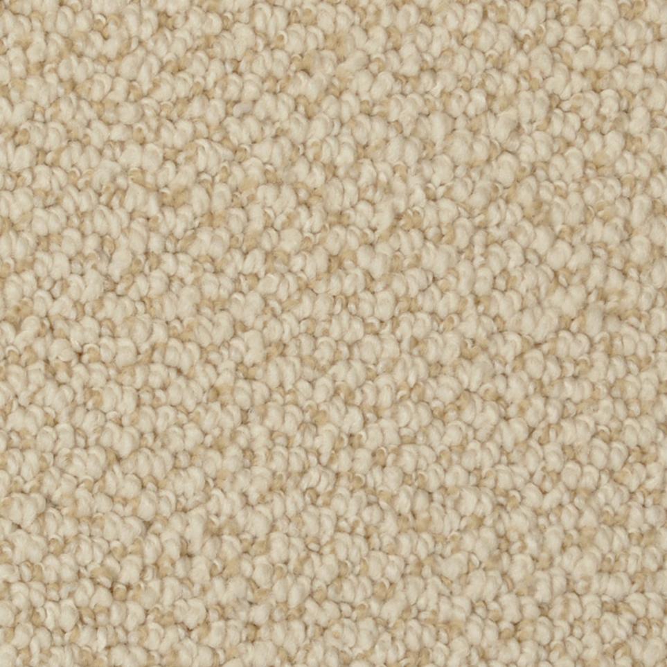 Loop Sponge Beige/Tan Carpet