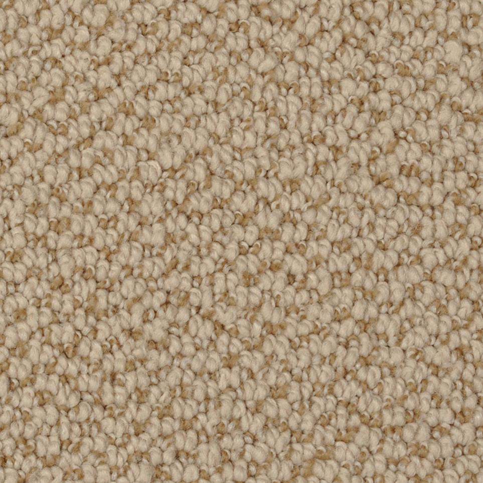 Loop Ruin Beige/Tan Carpet