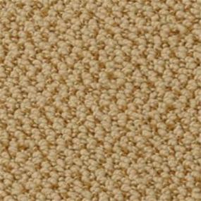 Loop Boulder Beige/Tan Carpet