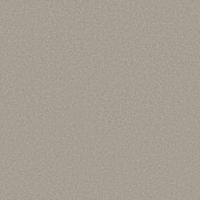 Texture Homestead Gray Carpet