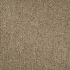 Pattern Snazzy Brown Carpet