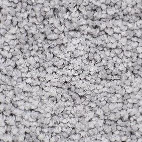 Berber Soft Smoke Gray Carpet