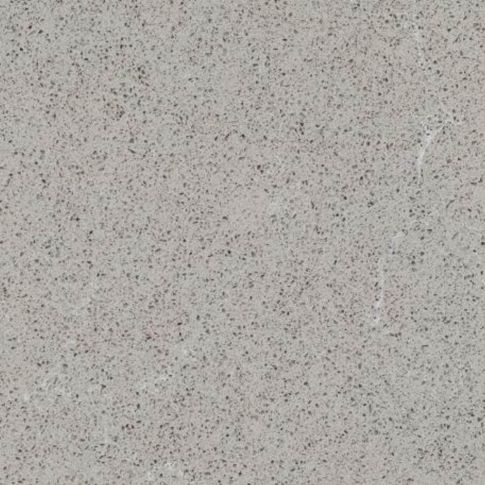 Slab Uptown Grey Leather Grey / Black Quartz Countertops