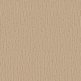 Pattern Toasty Beige/Tan Carpet