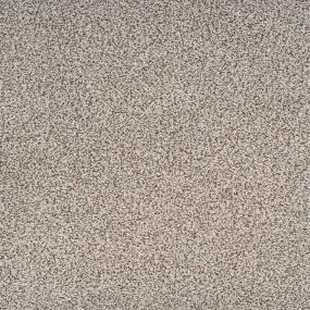 Textured Saxony Dapper Brown Carpet