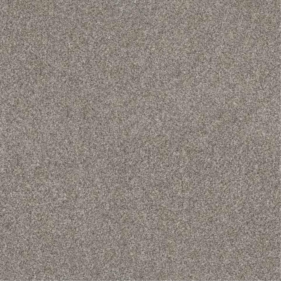 Textured Saxony Buff Beige/Tan Carpet