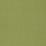 FOREST FERN