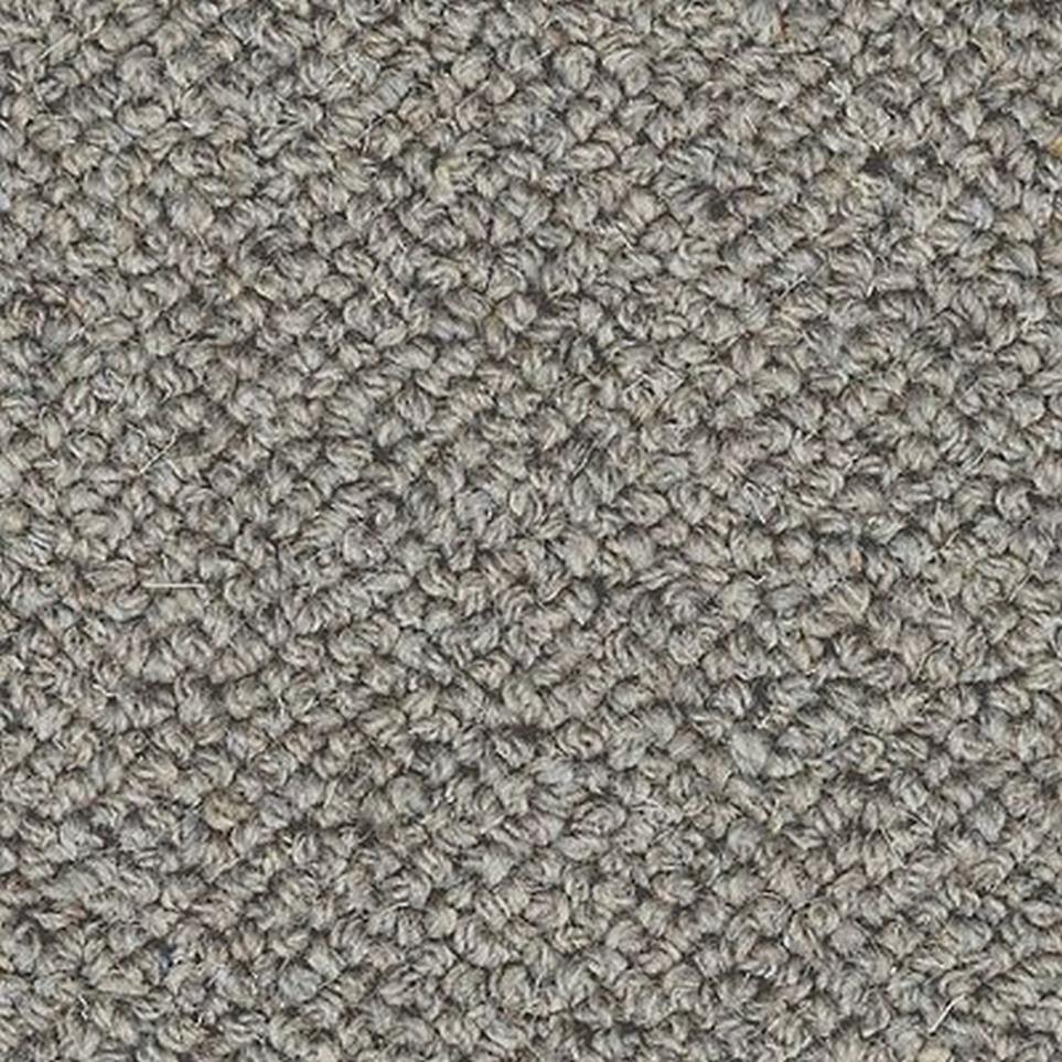 Loop Iron Gate Gray Carpet