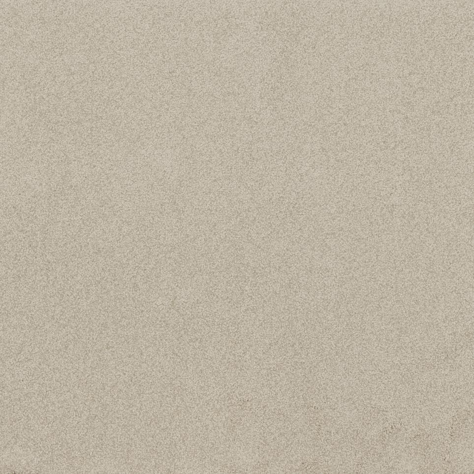 Textured Saxony Westchester Beige/Tan Carpet