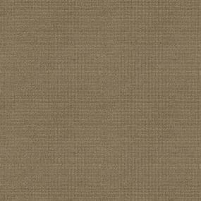 Pattern Bees Wax Brown Carpet