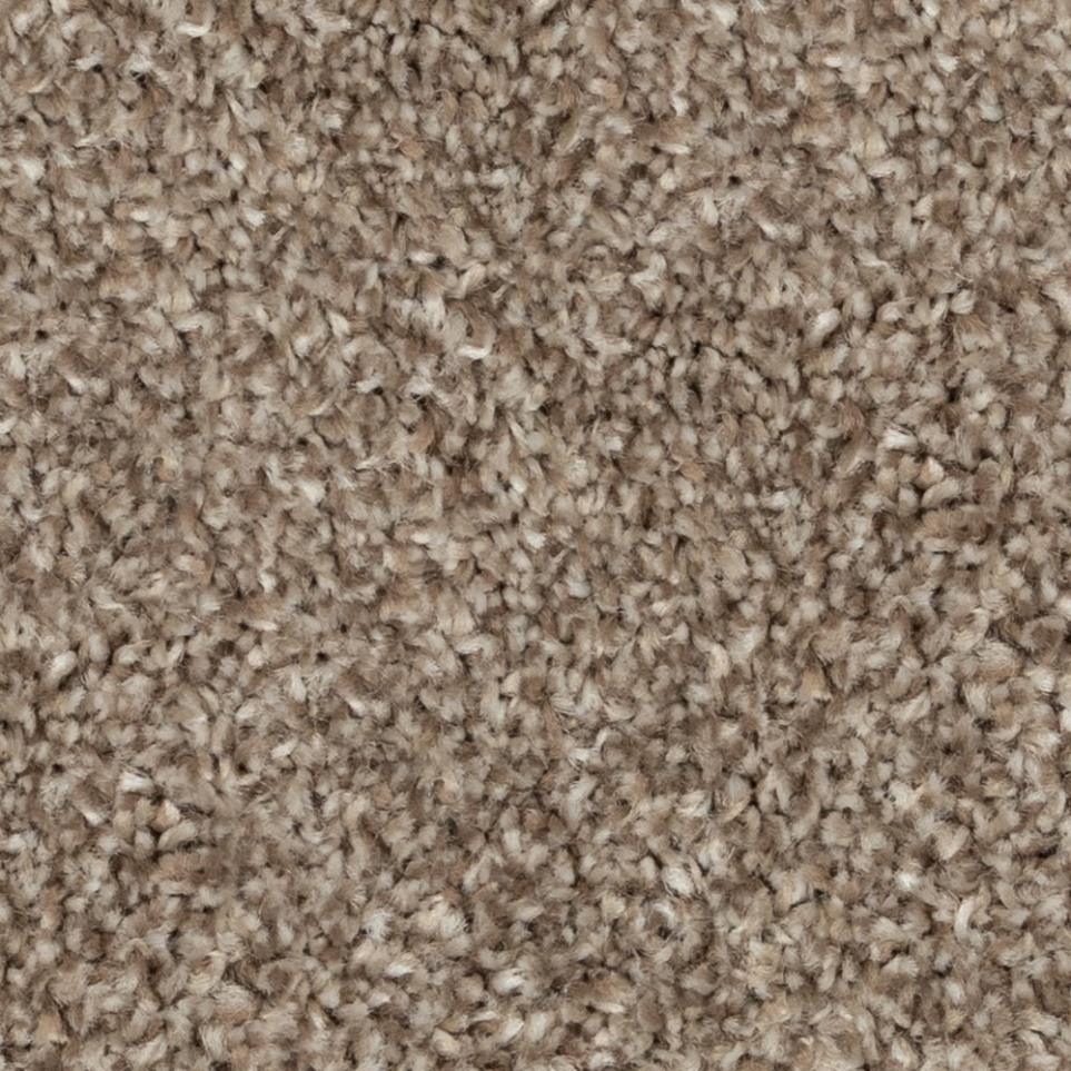 Casual Texture Cougar Brown Carpet