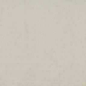 Pattern Honorable Beige/Tan Carpet