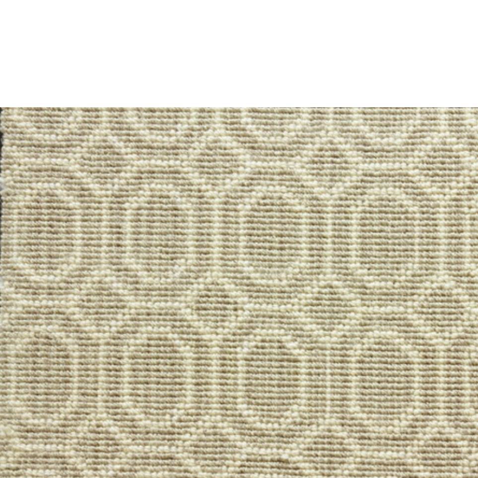 Pattern Sandstone Beige/Tan Carpet