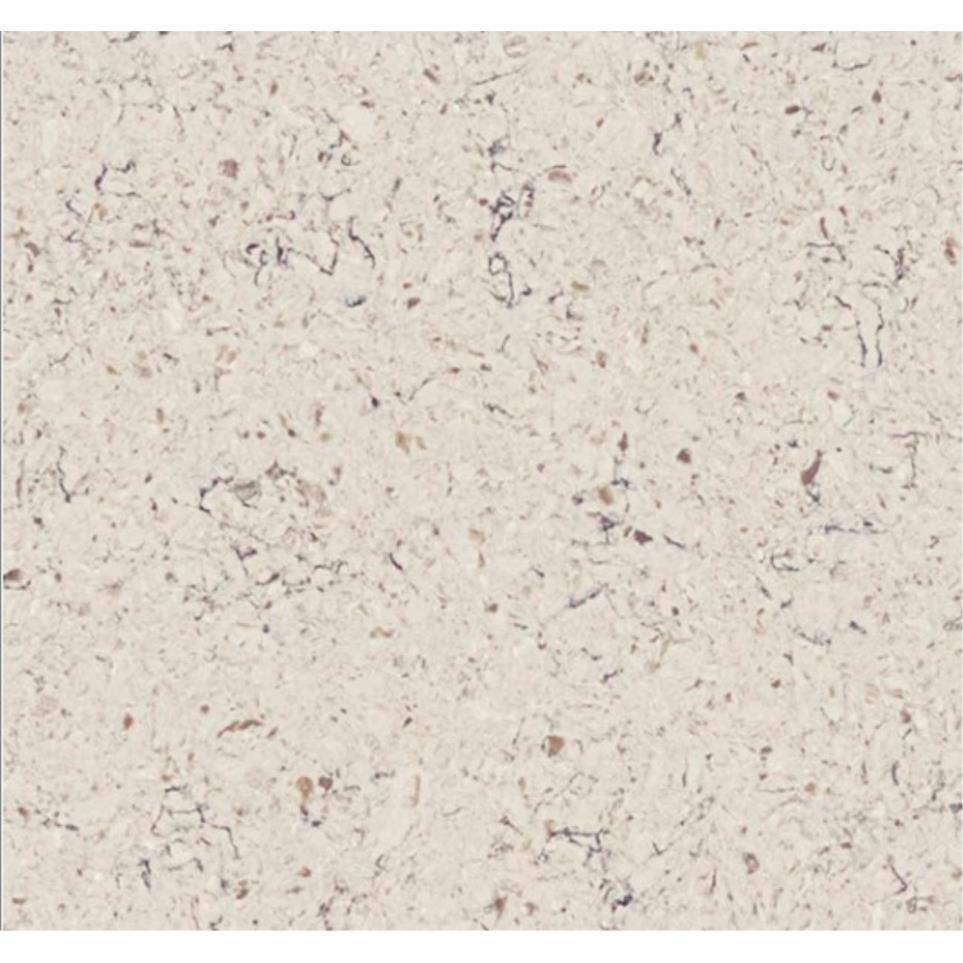 Tile Alpino Polished Beige/Tan Tile