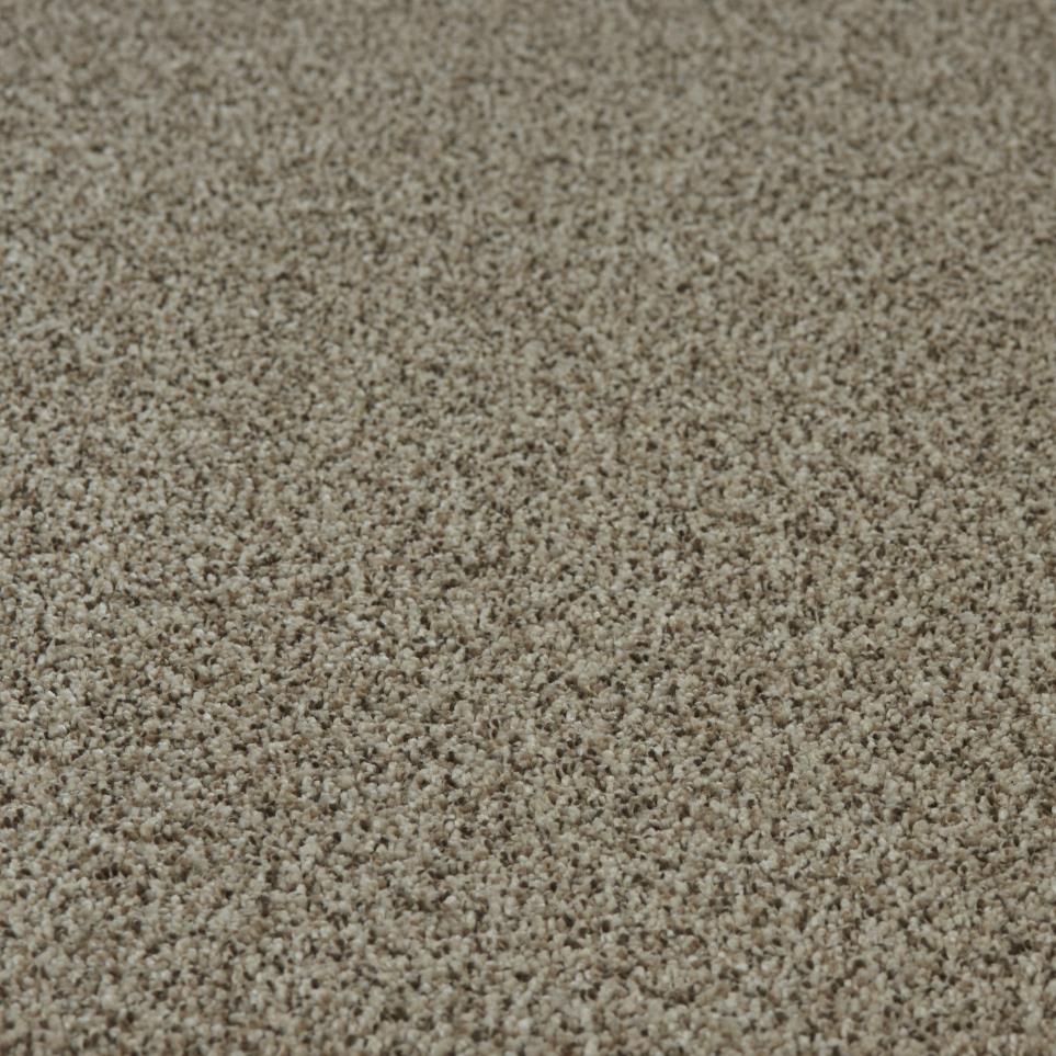 Textured Saxony Intrigue Beige/Tan Carpet