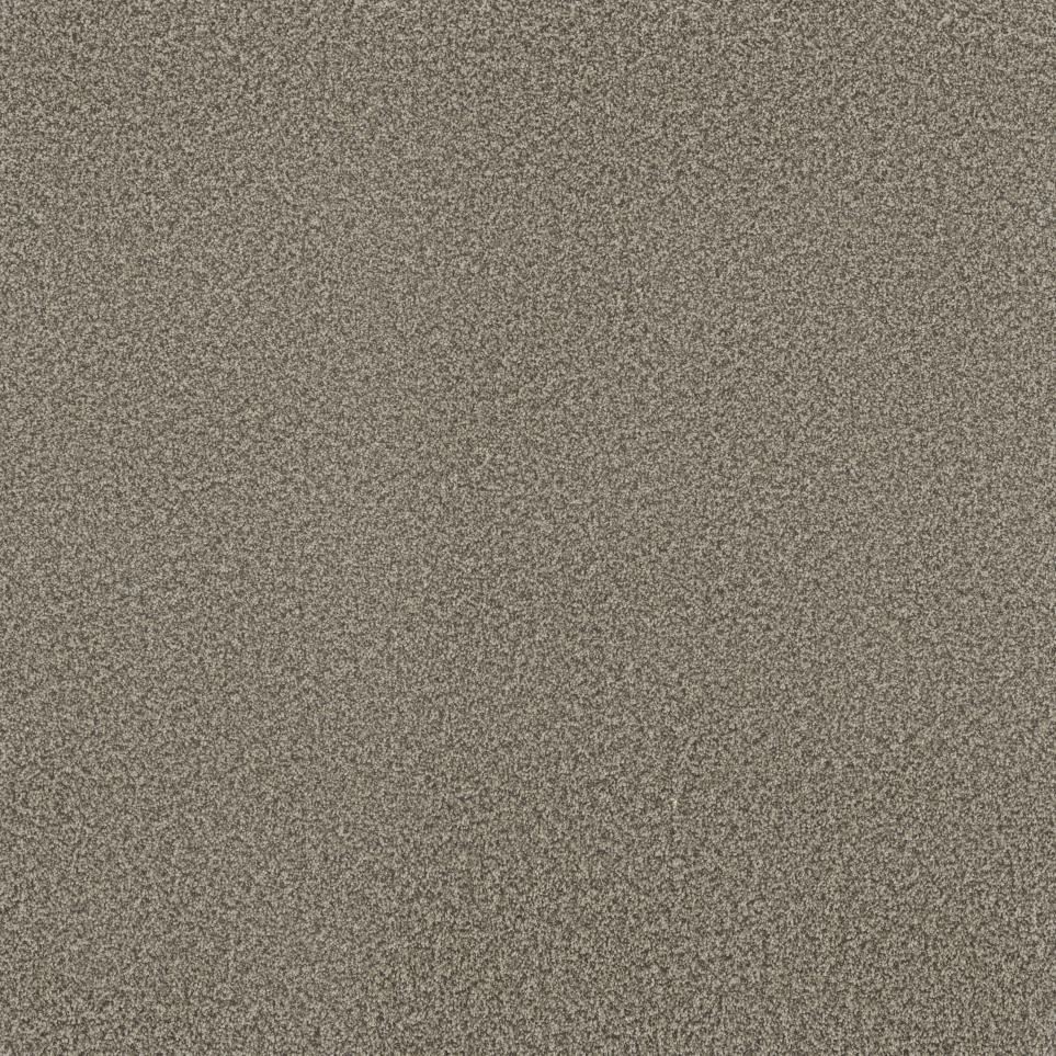 Textured Saxony Intrigue Beige/Tan Carpet