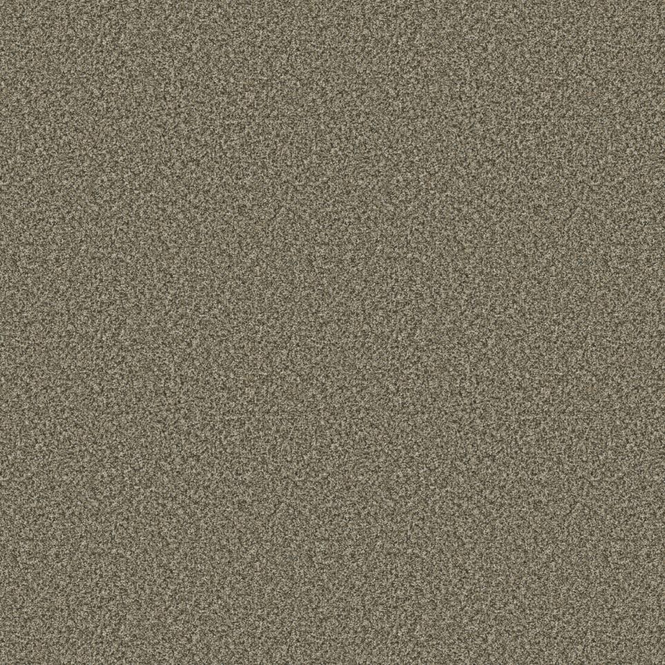 Texture Intrigue Beige/Tan Carpet