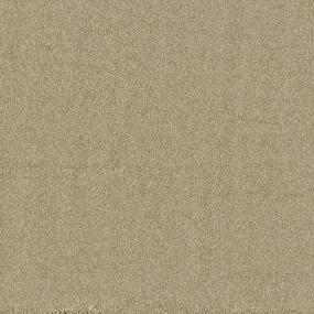 Textured Saxony Safari Tan Beige/Tan Carpet