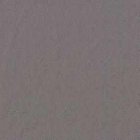 Textured Saxony Passageway Beige/Tan Carpet