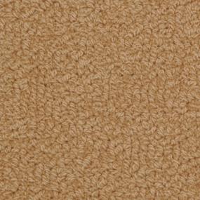 Loop Wawro Beige/Tan Carpet