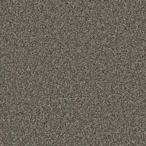 Texture Chestnut Beige/Tan Carpet