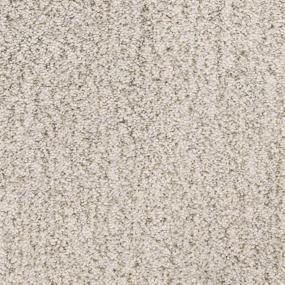 Textured Saxony Cannery Row Beige/Tan Carpet