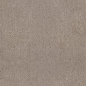 Textured Saxony Flume Beige/Tan Carpet