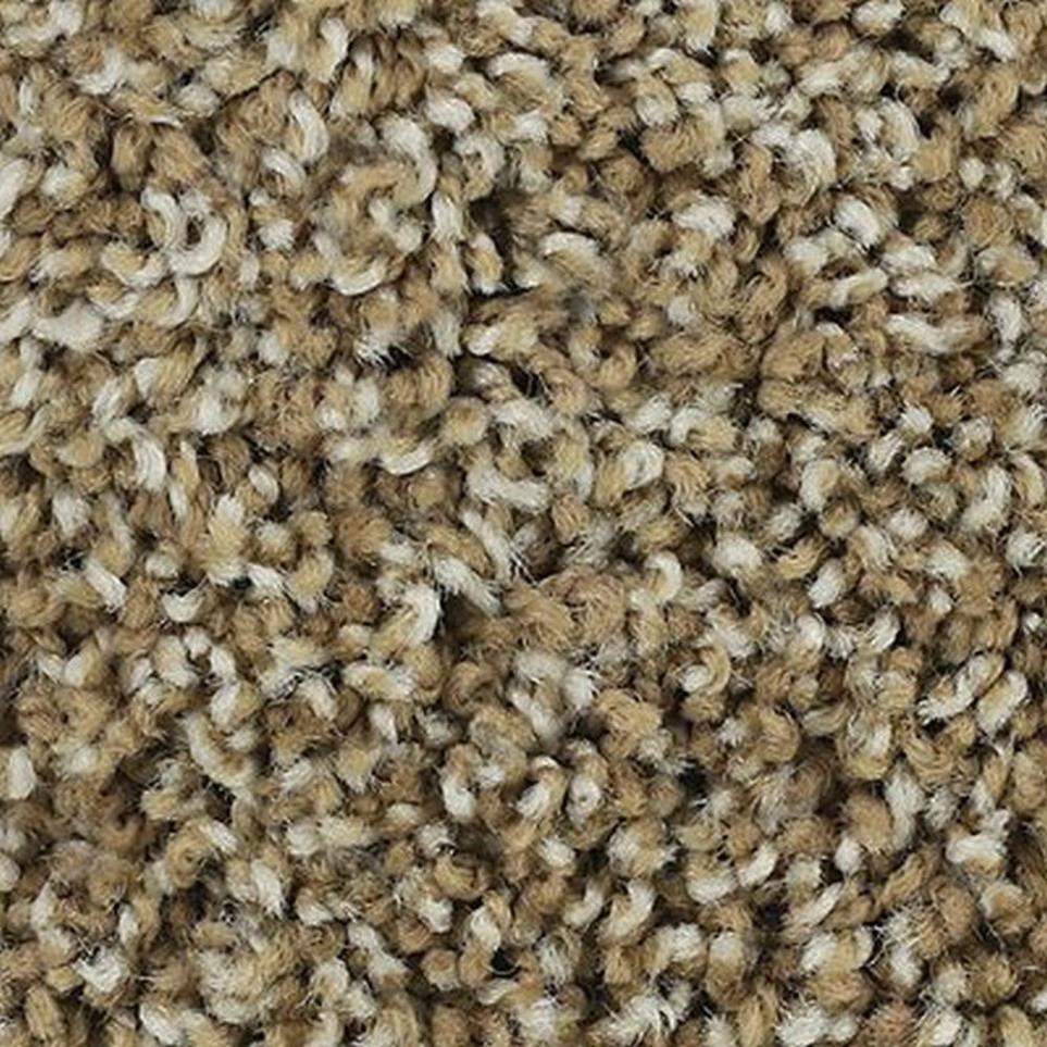 Textured Saxony Rattan Beige/Tan Carpet