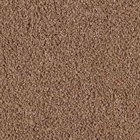 Cut Pile Nutmeg Brown Carpet