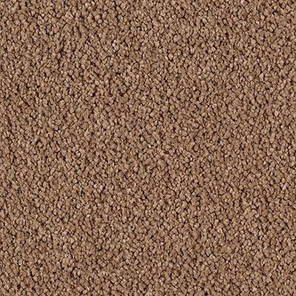 Cut Pile Nutmeg Brown Carpet