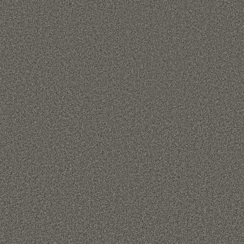 Texture Carbon Brown Carpet