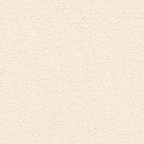 Textured Saxony Atrium Beige/Tan Carpet