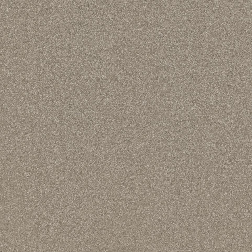 Textured Saxony Desirable Beige/Tan Carpet