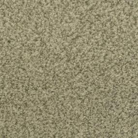 Casual Texture Rain Forest                    Green Carpet