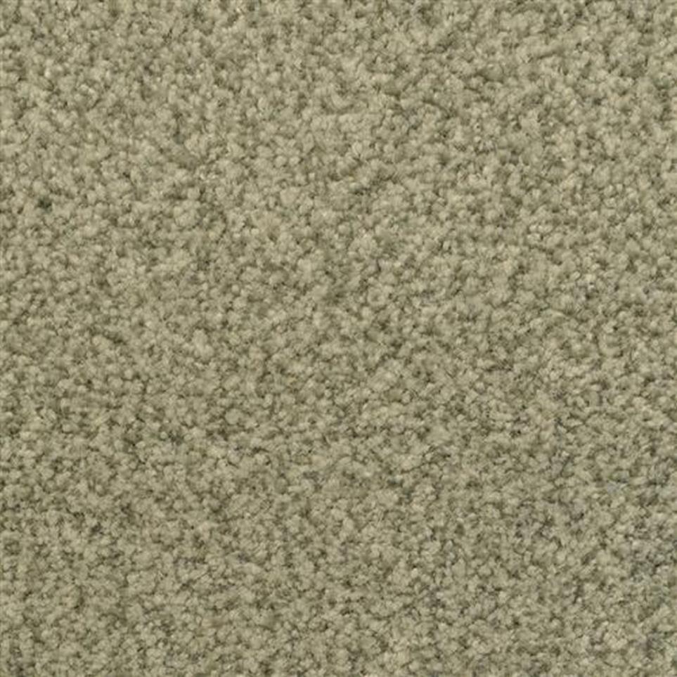 Casual Texture Rain Forest                    Green Carpet