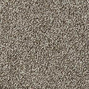 Textured Saxony Waugh Brown Carpet