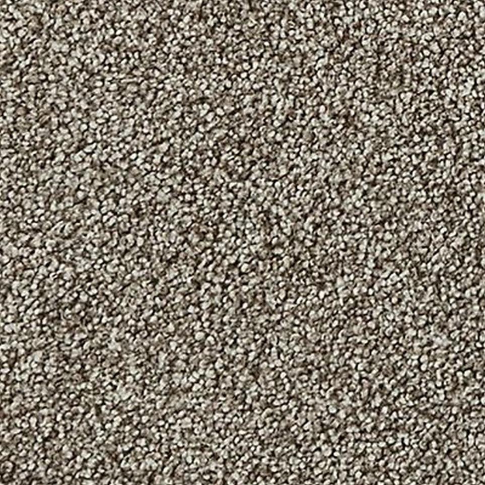 Textured Saxony Waugh Brown Carpet