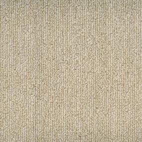 Pattern Camello Beige/Tan Carpet