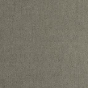 Pattern Thurston Beige/Tan Carpet