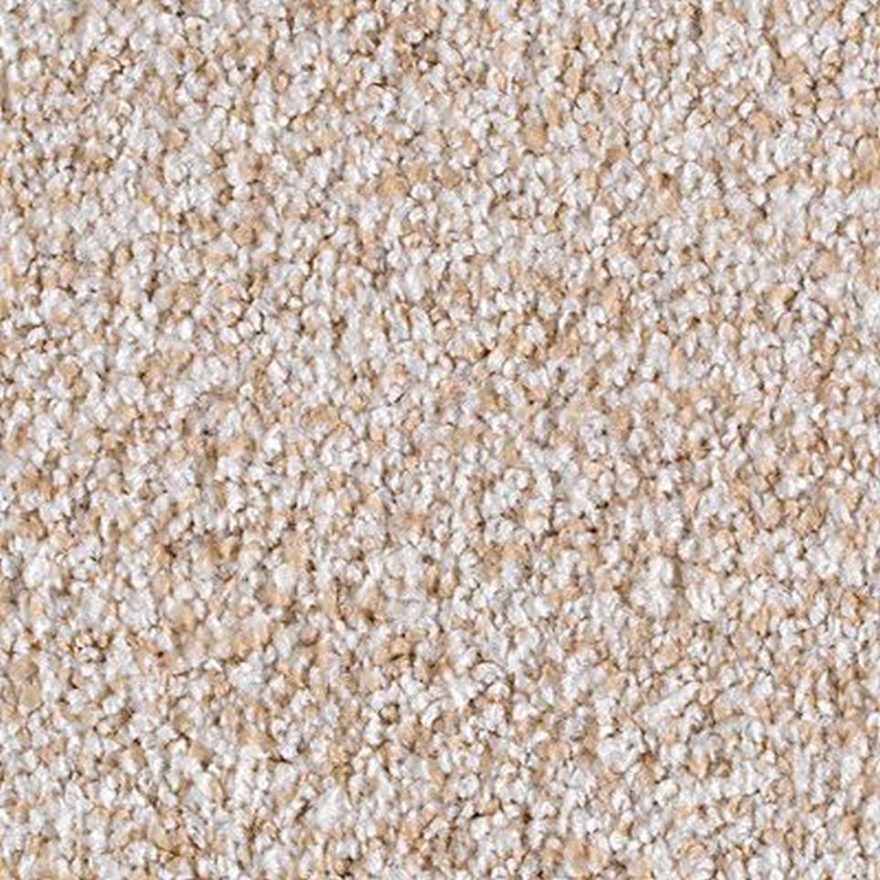 Textured Saxony Soft Whisper Brown Carpet