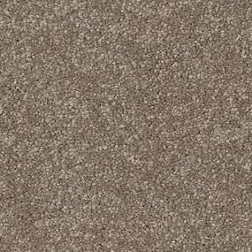 Texture Wind Fresh Gray Carpet