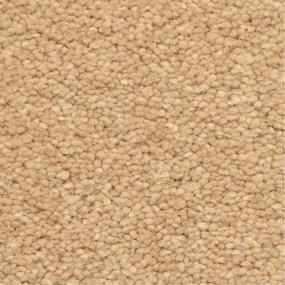 Casual Texture Neutro Beige/Tan Carpet