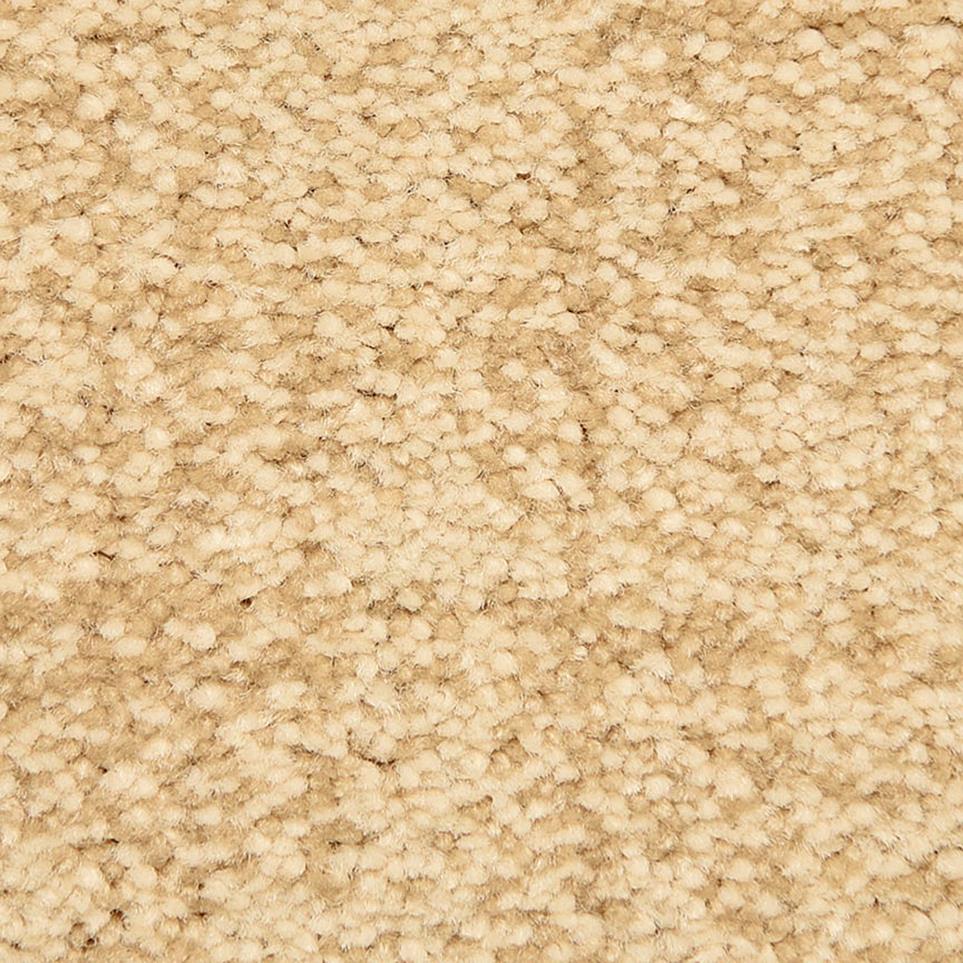 Pattern Serene Beige/Tan Carpet