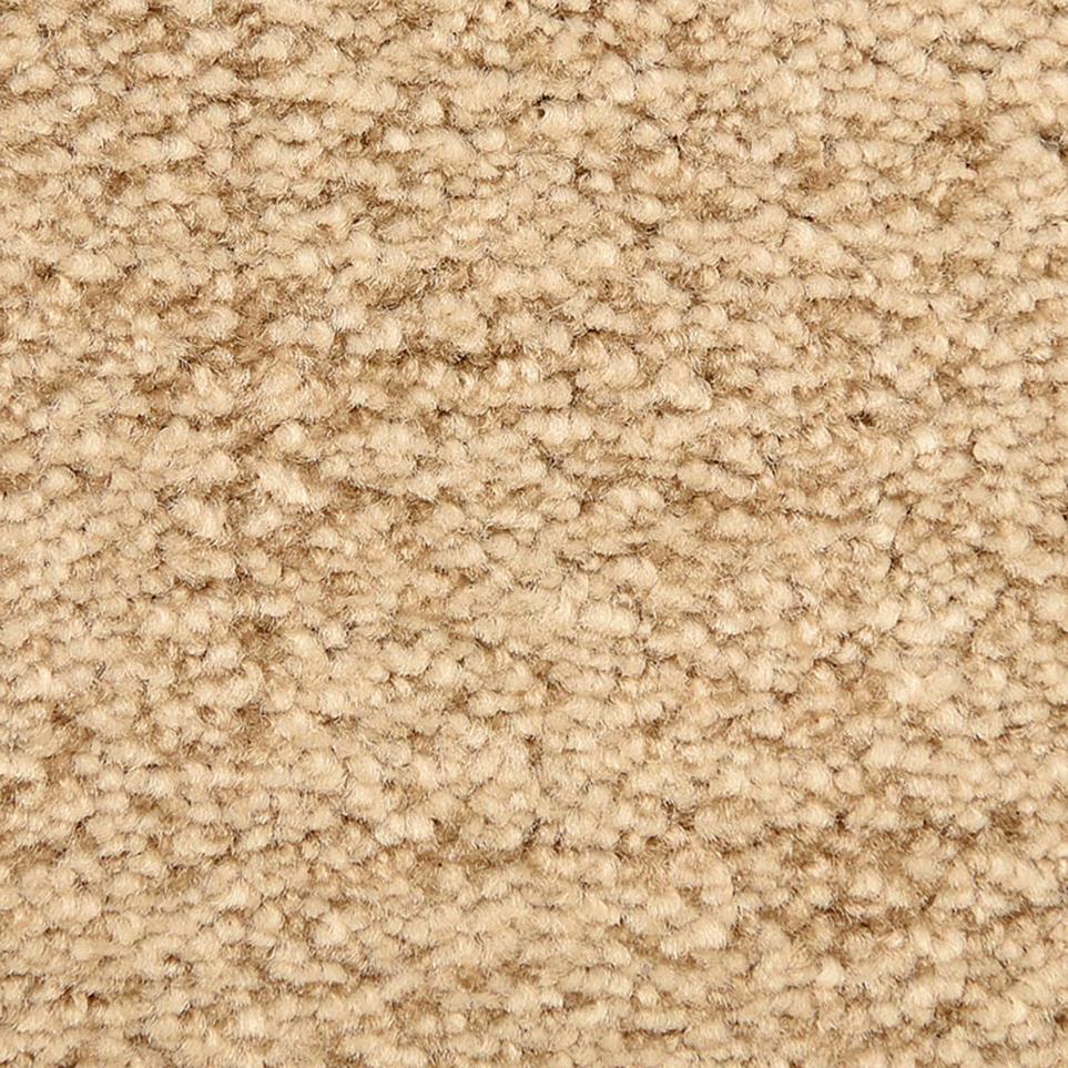 Pattern Lost Canyon Beige/Tan Carpet