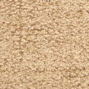 Pattern Lost Canyon Beige/Tan Carpet