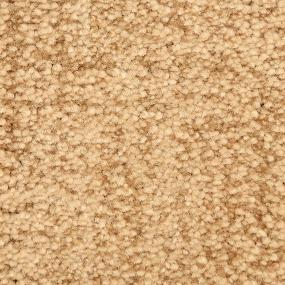 Pattern Carmelite Beige/Tan Carpet